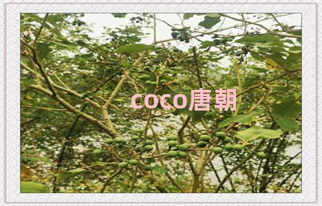 coco唐朝