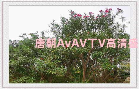 唐朝AvAV丅V高清盛宴