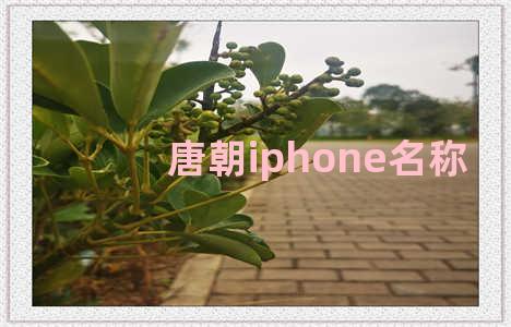 唐朝iphone名称