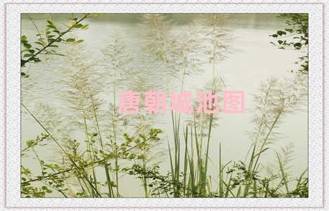 唐朝城池图