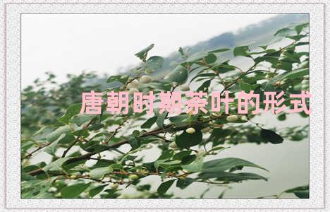 唐朝时期茶叶的形式